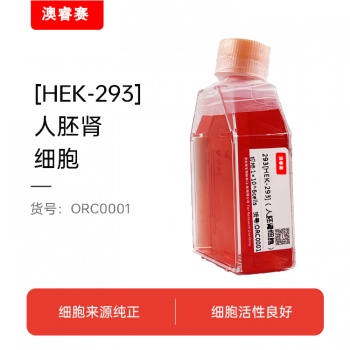 HEK-293（人胚肾细胞）