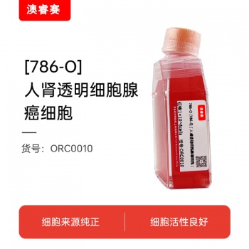 786-O（人肾透明细胞腺癌细胞）