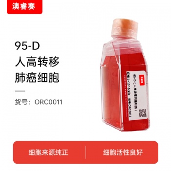 95-D（人高转移肺癌细胞）