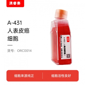A-431（人表皮癌细胞）