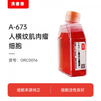 A-673（人横纹肌肉瘤细胞）