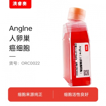 Anglne（人卵巢癌细胞）