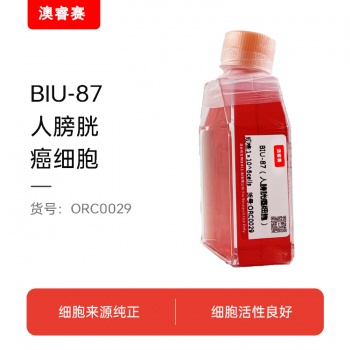 BIU-87（人膀胱癌细胞）