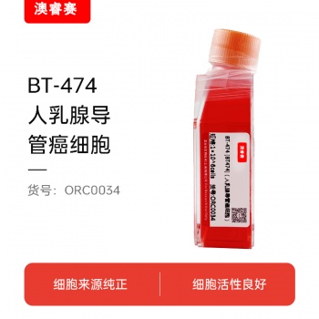 BT-474 [BT474]（人乳腺导管癌细胞）