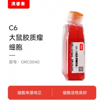 C6（大鼠胶质瘤细胞）