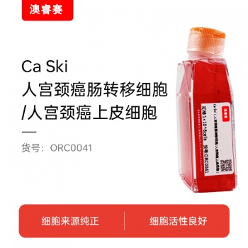 Ca Ski（人宫颈癌肠转移细胞/人宫颈癌上皮细胞）