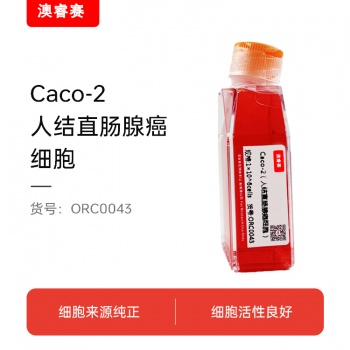 Caco-2（人结直肠腺癌细胞）