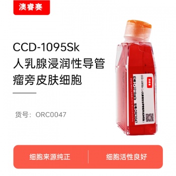 CCD-1095Sk（人乳腺浸润性导管癌旁皮肤细胞）