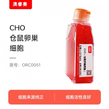 CHO（仓鼠卵巢细胞）