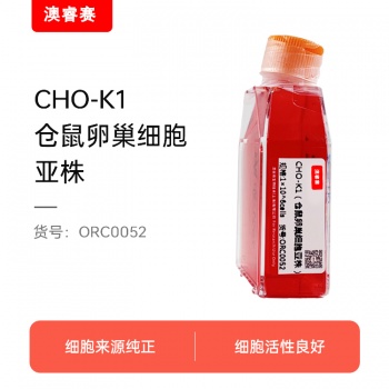 CHO-K1（仓鼠卵巢细胞亚株）