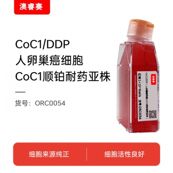 CoC1/DDP（人卵巢癌细胞CoC1顺铂耐药亚株）