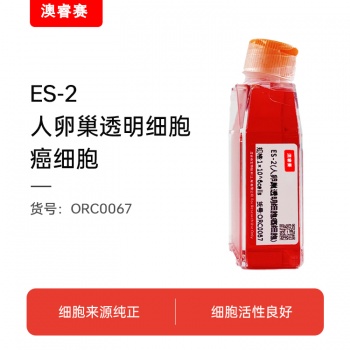 ES-2（人卵巢透明细胞癌细胞）