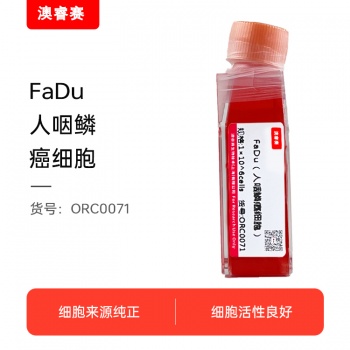 FaDu（人咽鳞癌细胞）