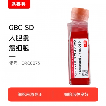 GBC-SD（人胆囊癌细胞）