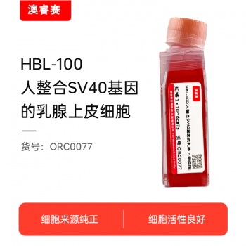 HBL-100（人整合SV40基因的乳腺上皮细胞）