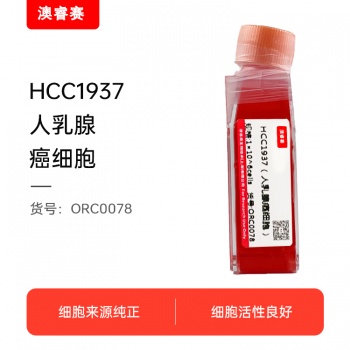 HCC1937（人乳腺癌细胞）