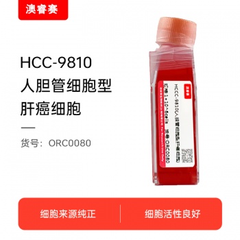 HCCC-9810（人胆管细胞型肝癌细胞）