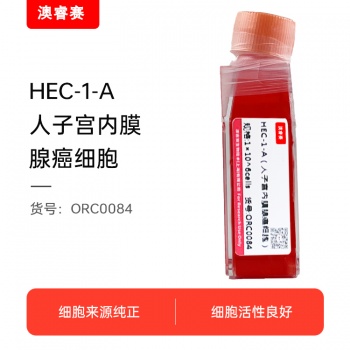 HEC-1-A（人子宫内膜腺癌细胞）