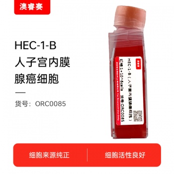 HEC-1-B（人子宫内膜腺癌细胞）