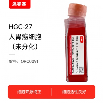 HGC-27（人胃癌细胞（未分化））