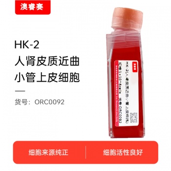 HK-2（人肾皮质近曲小管上皮细胞）