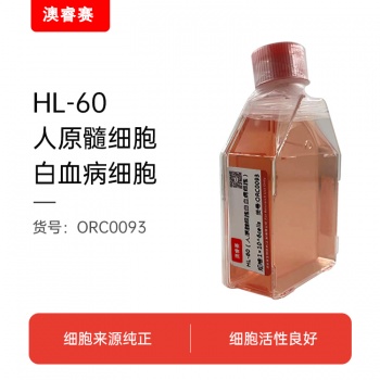 HL-60（人原髓细胞白血病细胞）