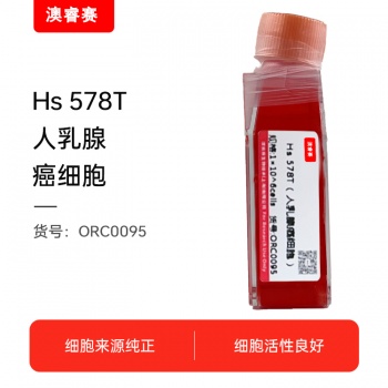 Hs 578T（人乳腺癌细胞）