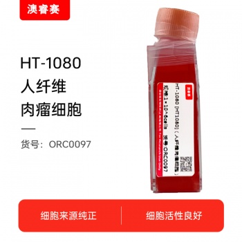HT-1080 [HT1080]（人纤维肉瘤细胞）