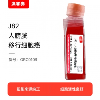 J82（人膀胱移行细胞癌）