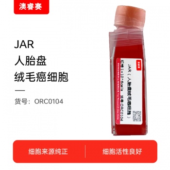 JAR（人胎盘绒毛癌细胞）