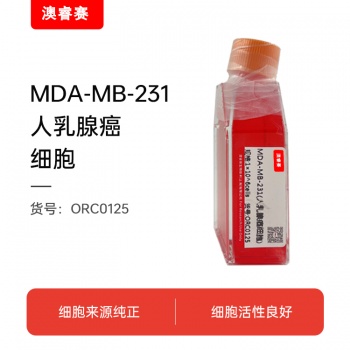 MDA-MB-231（人乳腺癌细胞）