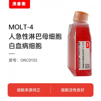 MOLT-4（人急性淋巴母细胞白血病细胞）