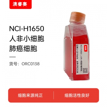 NCI-H1650（人非小细胞肺癌细胞）