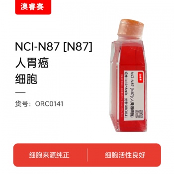 NCI-N87 [N87]（人胃癌细胞）