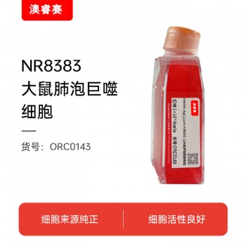 NR8383 [AgC11x3A; NR8383.1]（大鼠肺泡巨噬细胞）