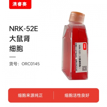 NRK-52E（大鼠肾细胞）