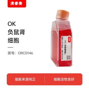 OK（负鼠肾细胞）