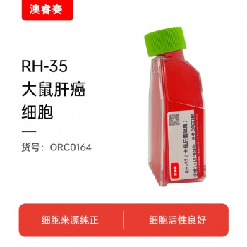 RH-35（大鼠肝癌细胞）