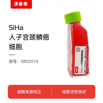 SiHa（人子宫颈鳞癌细胞）