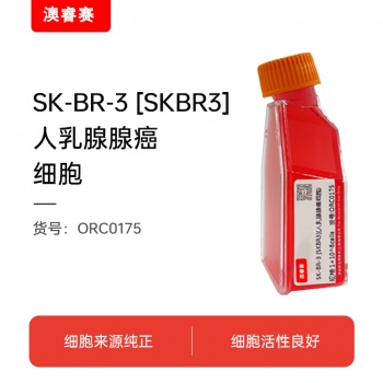 SK-BR-3 [SKBR3]（人乳腺腺癌细胞）
