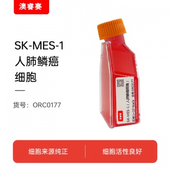 SK-MES-1（人肺鳞癌细胞）