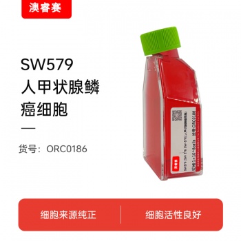 SW579 [SW 579; SW-579]（人甲状腺鳞癌细胞）