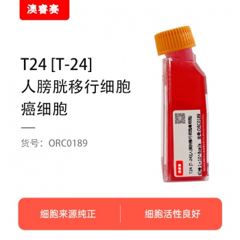 T24 [T-24]（人膀胱移行细胞癌细胞）