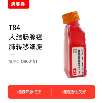 T84（人结肠腺癌肺转移细胞）