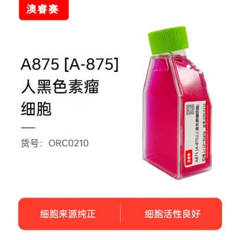 A875 [A-875]（人黑色素瘤细胞）