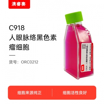 C918（人眼脉络黑色素瘤细胞）
