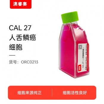 CAL 27（人舌鳞癌细胞）