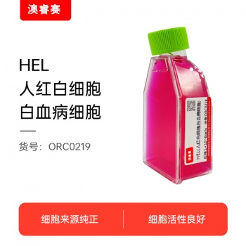 HEL（人红白细胞白血病细胞）