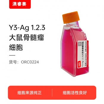 Y3-Ag 1.2.3（大鼠骨髓瘤细胞）