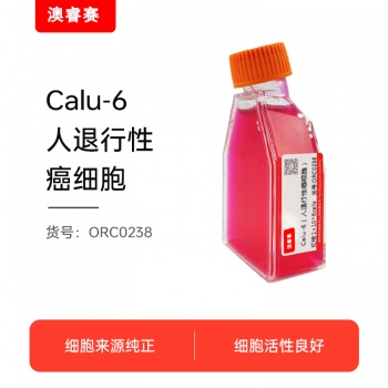 Calu-6（人退行性癌细胞）